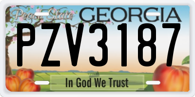 GA license plate PZV3187