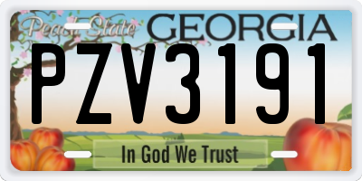 GA license plate PZV3191