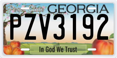 GA license plate PZV3192