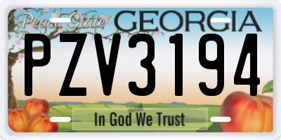 GA license plate PZV3194