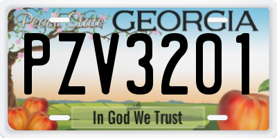 GA license plate PZV3201