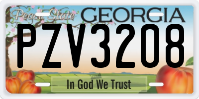 GA license plate PZV3208