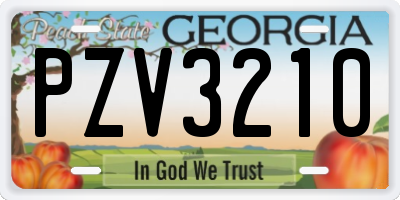 GA license plate PZV3210