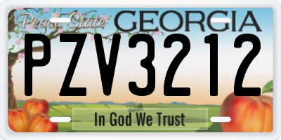 GA license plate PZV3212
