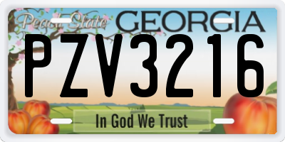 GA license plate PZV3216