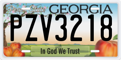 GA license plate PZV3218