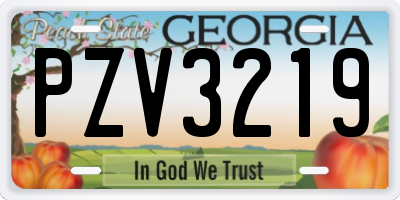 GA license plate PZV3219