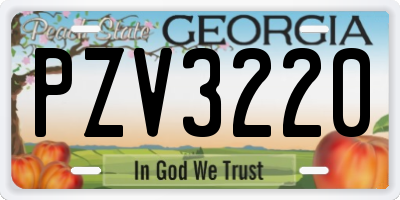 GA license plate PZV3220