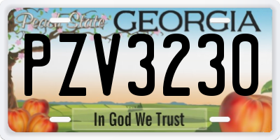 GA license plate PZV3230