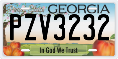 GA license plate PZV3232