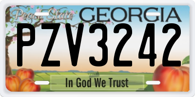 GA license plate PZV3242