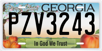 GA license plate PZV3243