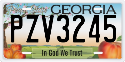 GA license plate PZV3245