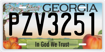 GA license plate PZV3251