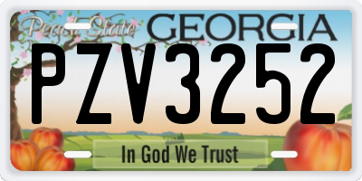GA license plate PZV3252