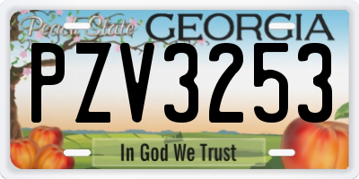 GA license plate PZV3253