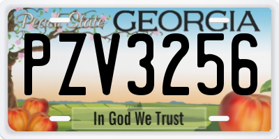 GA license plate PZV3256