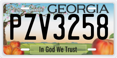 GA license plate PZV3258
