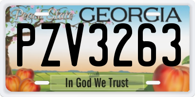 GA license plate PZV3263