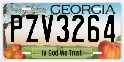 GA license plate PZV3264