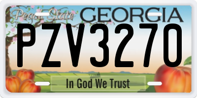 GA license plate PZV3270