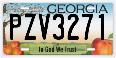 GA license plate PZV3271