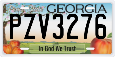 GA license plate PZV3276