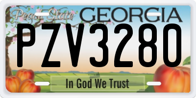 GA license plate PZV3280