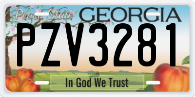 GA license plate PZV3281