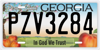 GA license plate PZV3284