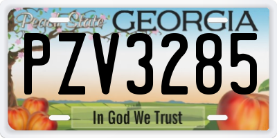 GA license plate PZV3285