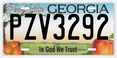 GA license plate PZV3292