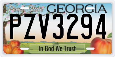 GA license plate PZV3294