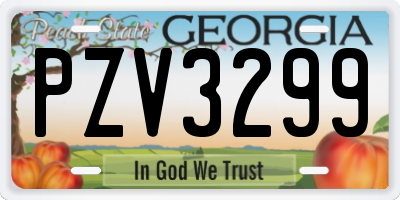 GA license plate PZV3299