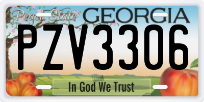 GA license plate PZV3306