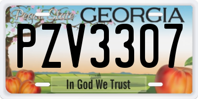 GA license plate PZV3307