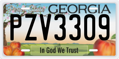GA license plate PZV3309
