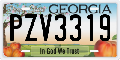GA license plate PZV3319