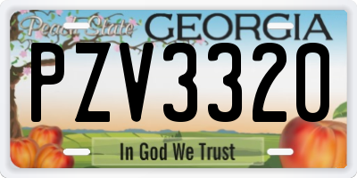GA license plate PZV3320