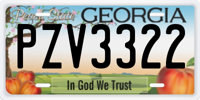 GA license plate PZV3322