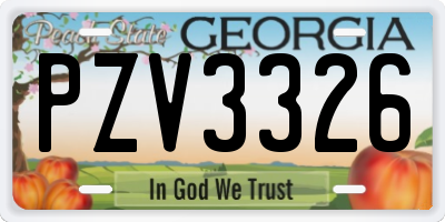GA license plate PZV3326