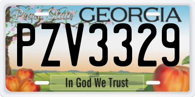 GA license plate PZV3329