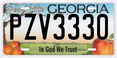 GA license plate PZV3330