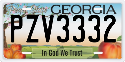 GA license plate PZV3332