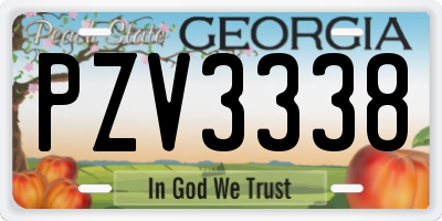 GA license plate PZV3338
