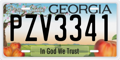 GA license plate PZV3341