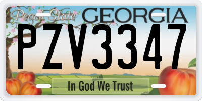 GA license plate PZV3347