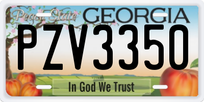GA license plate PZV3350
