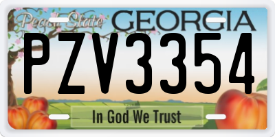 GA license plate PZV3354
