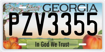 GA license plate PZV3355